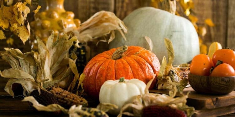 Three policy reforms to be thankful for on Thanksgiving Day – Mackinac Center