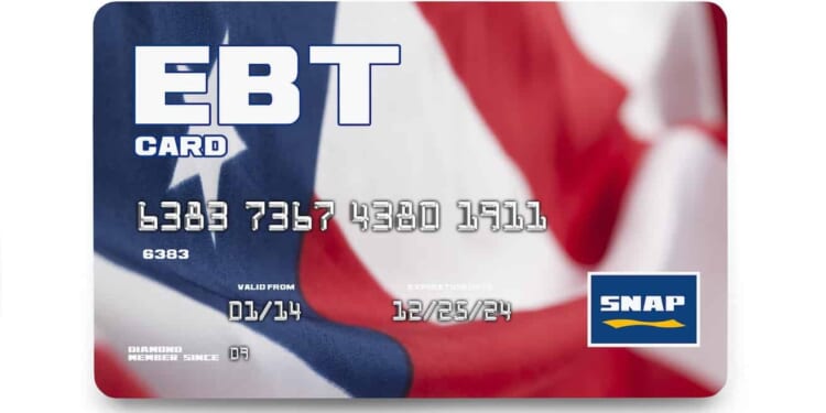 USDA Secretary Rollins Says SNAP Will Be Drastically Reformed After Thousands Of Illegals Removed