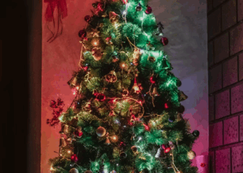 Americans Turn To Fake Christmas Trees Despite Tariffs Hiking Prices