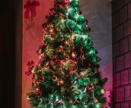 Americans Turn To Fake Christmas Trees Despite Tariffs Hiking Prices