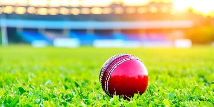 Enforce Michigan rule against pork-barrel spending – Mackinac Center