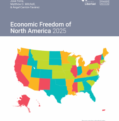 New Mexico falls to 50th among US states in latest "Index of Economic Freedom"