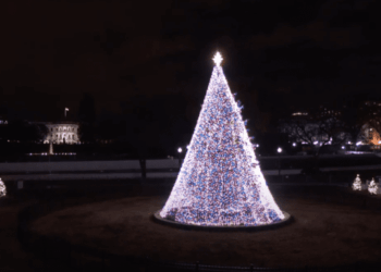 President Donald Trump's Schedule for Thursday, December 4, 2025