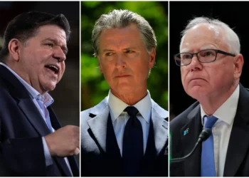 These People Are Fools. What Are We Missing?