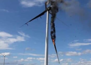 Trump Admin Orders Offshore Wind Farm Pauses Over ‘National Security Risks’