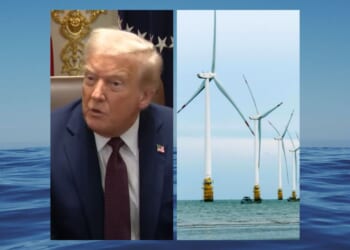 Trump’s Pause on Offshore Wind: A Chance for Reform, or a Step Towards Cancellation