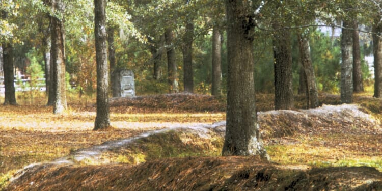 Why the Battle of Moore’s Creek Bridge still matters