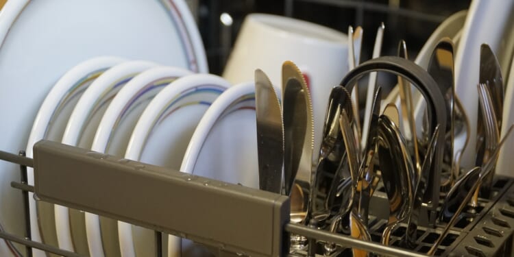 Advancing ‘appliance freedom’ for Americans