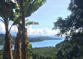 Bougainville: A golden opportunity for President Trump