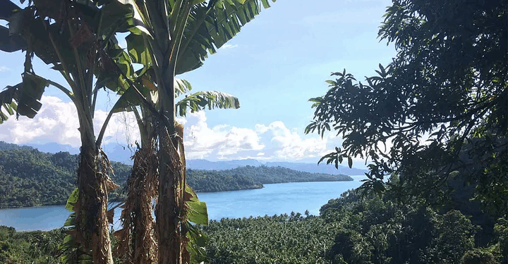 Bougainville: A golden opportunity for President Trump