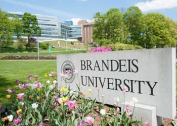 Brandeis Is Doing Something About Grade Inflation. Will Texas Be Next?