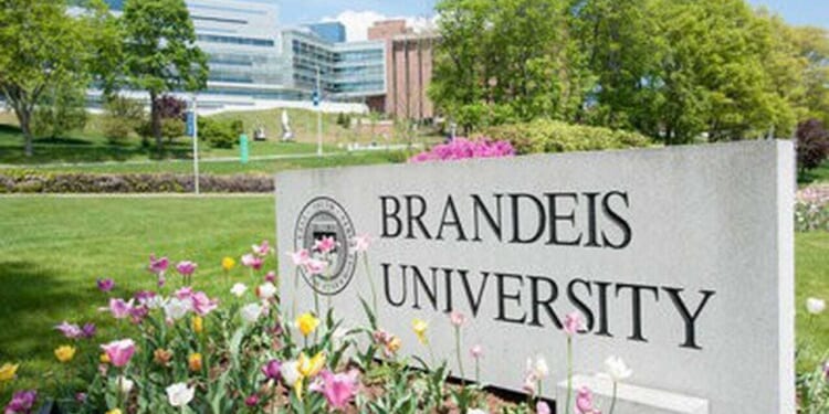 Brandeis Is Doing Something About Grade Inflation. Will Texas Be Next?