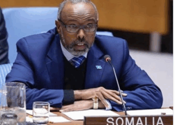 HHS Says Somalia’s UN Ambassador Tied To Company Accused Of Medicaid Fraud