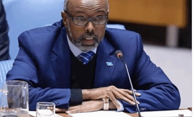 HHS Says Somalia’s UN Ambassador Tied To Company Accused Of Medicaid Fraud