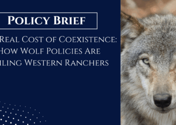 How Wolf Policies Are Failing Western Ranchers