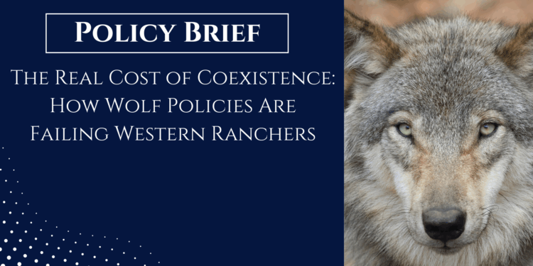 How Wolf Policies Are Failing Western Ranchers