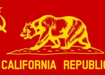 Illegal Alien Truck Drivers Accused Of Smuggling Cocaine Got Driver’s Licenses In Sanctuary California