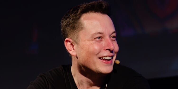 Musk issues dire warning about 2026 elections