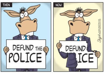 One-Trick Donkeys | CDN