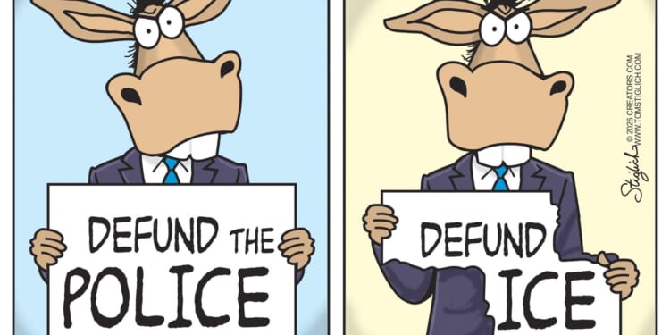 One-Trick Donkeys | CDN