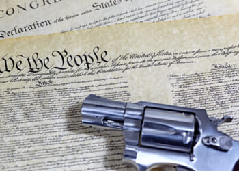 Partisans make unusual 2A arguments after ICE shooting