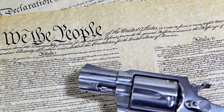 Partisans make unusual 2A arguments after ICE shooting