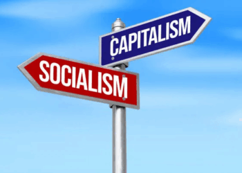 The role of government in capitalism: A delicate balance
