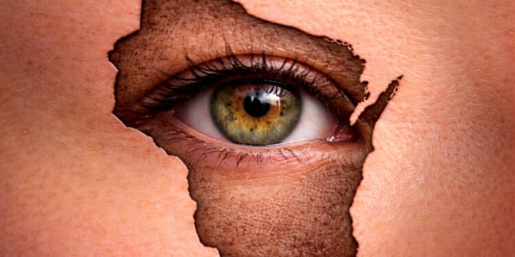 Lawmakers split on how to keep WisEye broadcasting