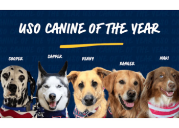 Help Vote for the USO Canine Volunteer of the Year