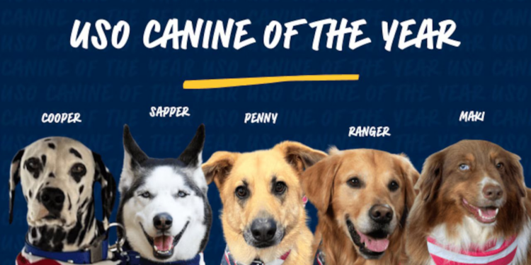 Help Vote for the USO Canine Volunteer of the Year