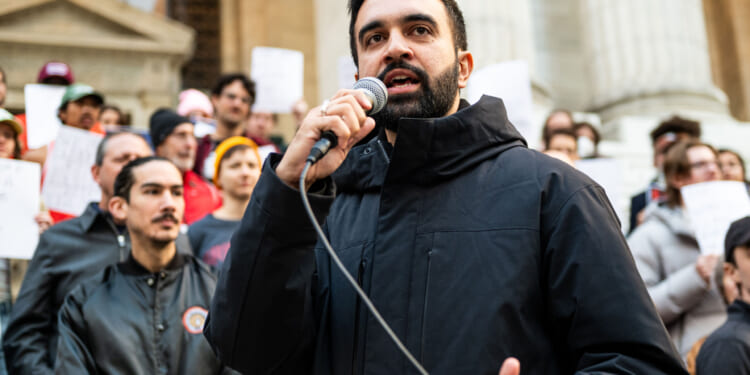 Mamdani wants IDs from New Yorkers taking part in snow removal