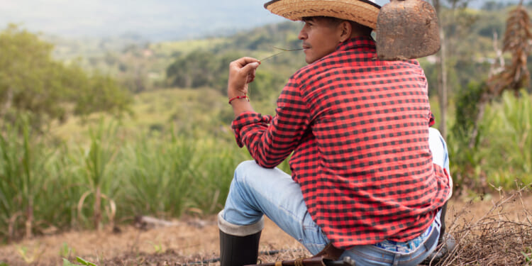 SB 6045 transfers power from farmworkers to unions