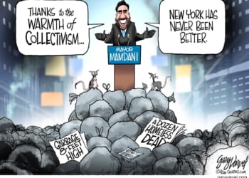 That Was Quick... | CDN