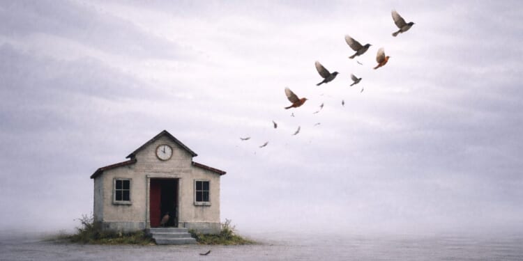 Teachers in flight - Badger Institute