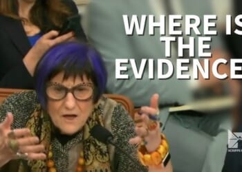 Are There Any Adults in the Room