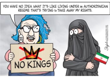 Bad Perspective | CDN