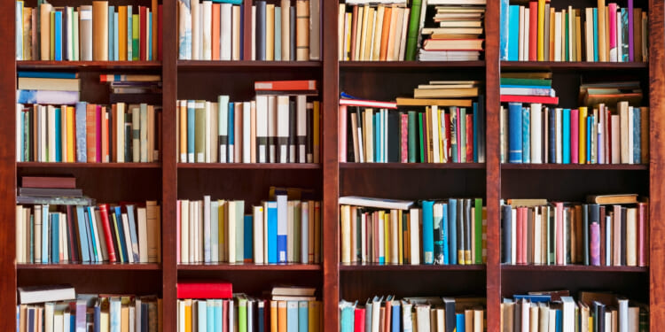 Bill aims to have kids read whole books again