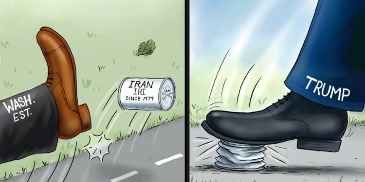 Branco Cartoon - Orange Crush