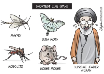 Creatures with Shortest Life Spans