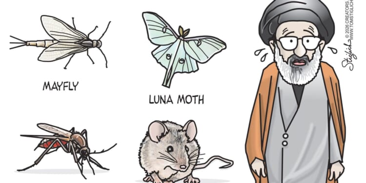 Creatures with Shortest Life Spans