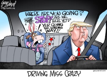 Driving Miss Crazy