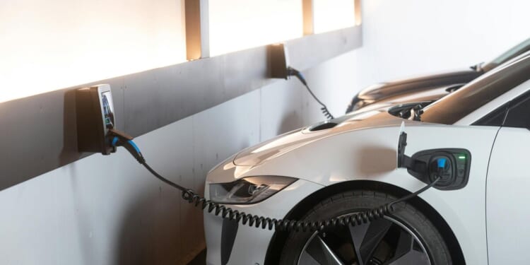 Michigan subsidy picks are a short seller’s bonanza – Mackinac Center