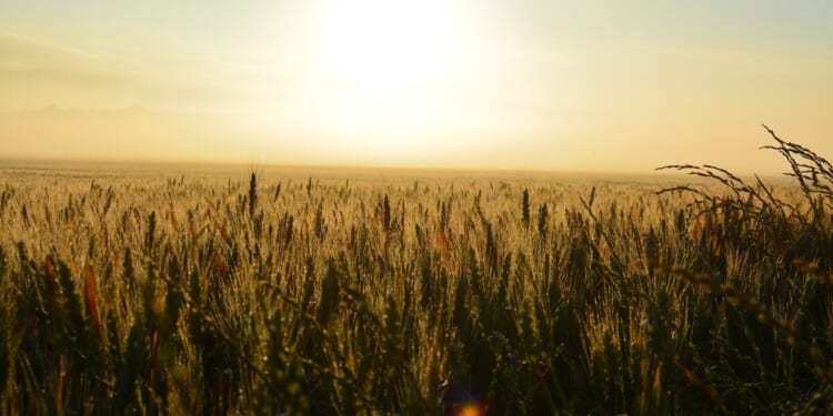 Michigan taxpayers build it, but nobody comes – Mackinac Center