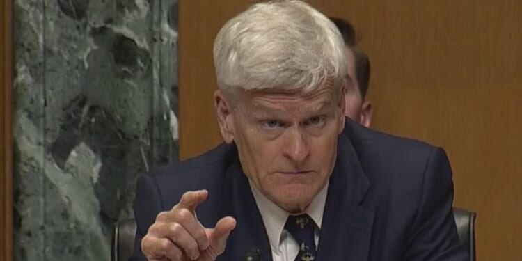 Senator slammed for favoring scammers over seniors