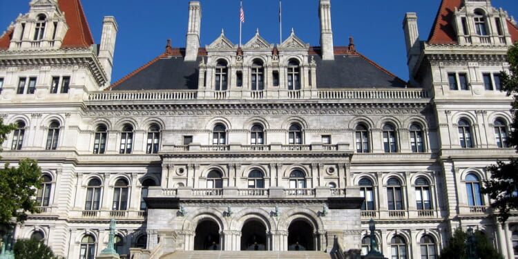 albany-wavers-on-shutting-down-a-medicaid-racket