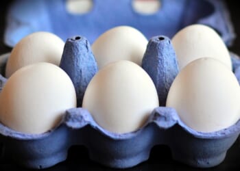 Breaking recent media silence about egg prices
