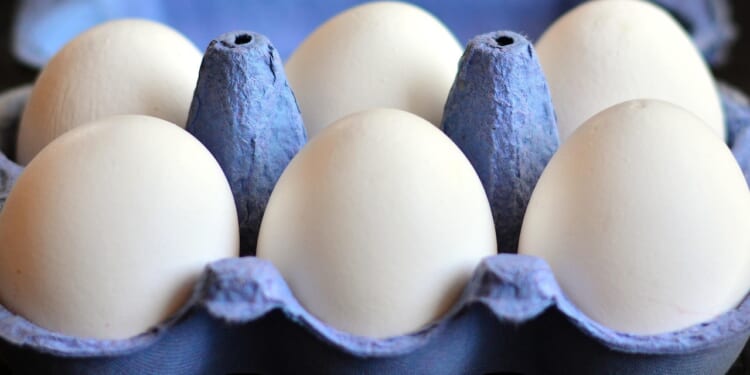 Breaking recent media silence about egg prices