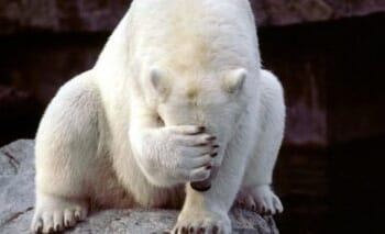 Lawmakers Try Making Life Worse For Americans As Gas Prices Wallop Pocketbooks