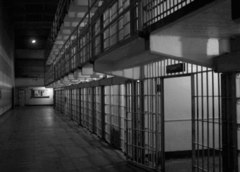 Meet The Woke Ex-Criminal Who Went From Gov’t-Funded Activism To Running NYC Jails