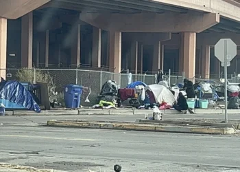 Opinion piece: Curley effect is keeping N.M. stagnant